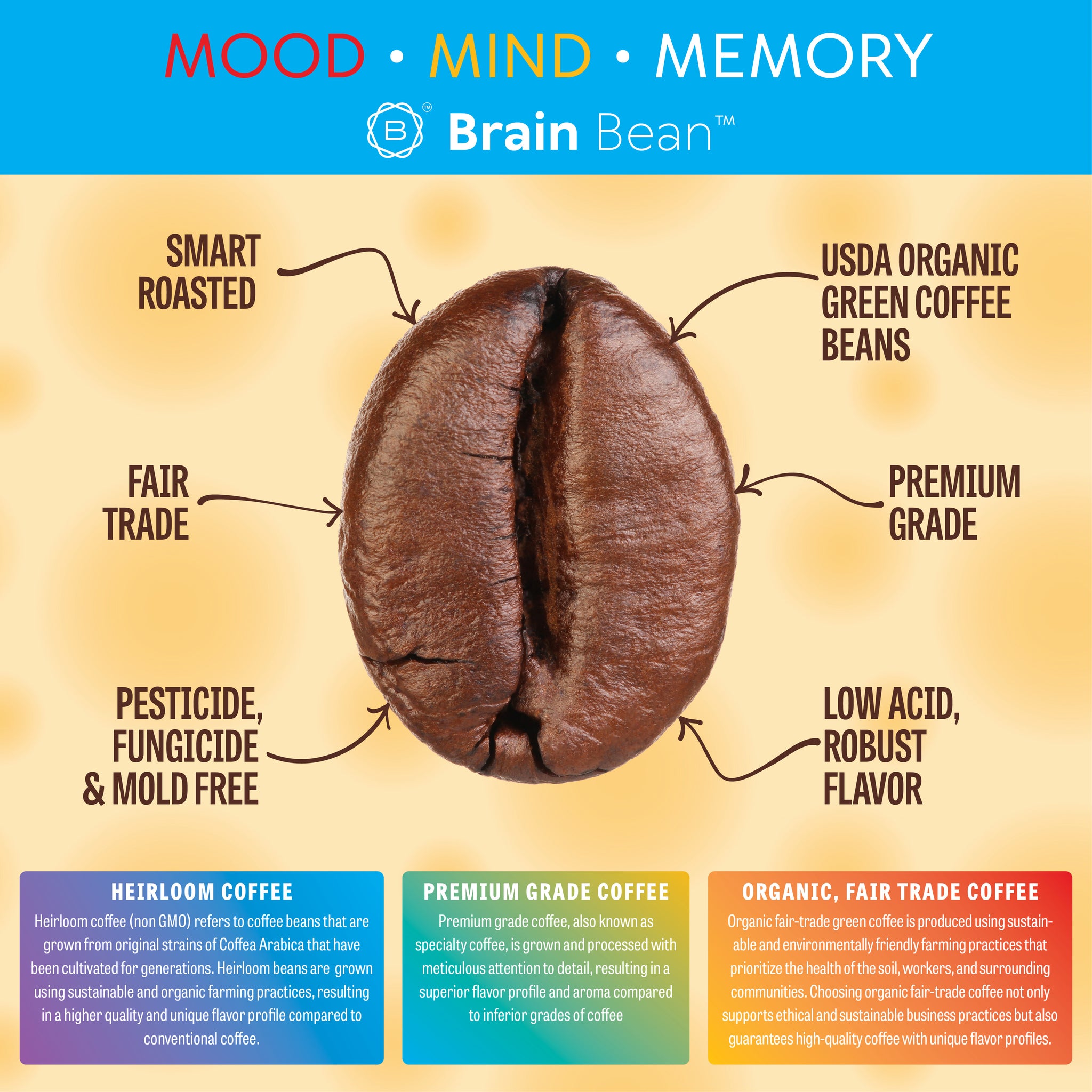 Brain Bean™ Coffee 16 oz -USDA Organic, Fair Trade, Premium Grade