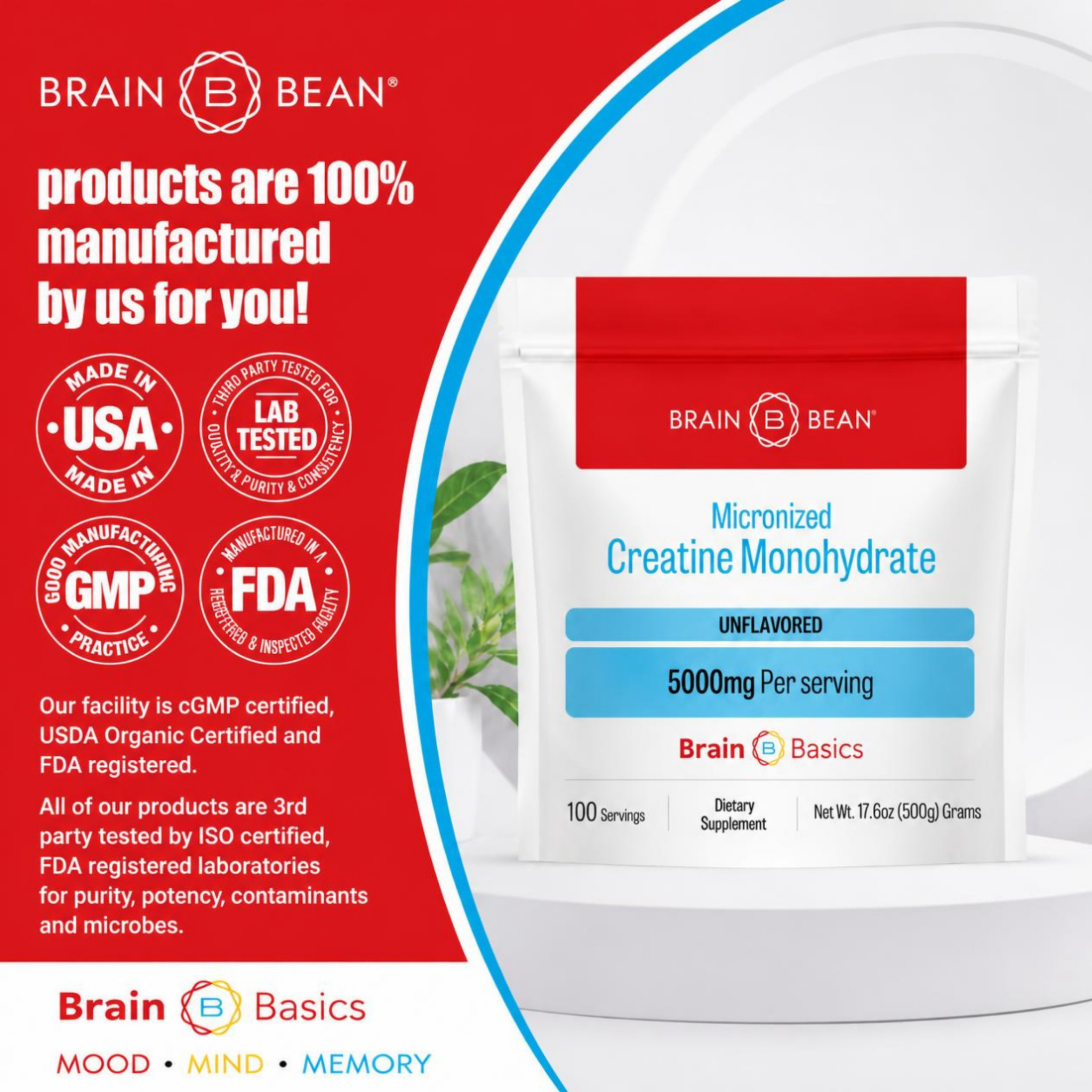 Brain Basics: Micronized Creatine Monohydrate