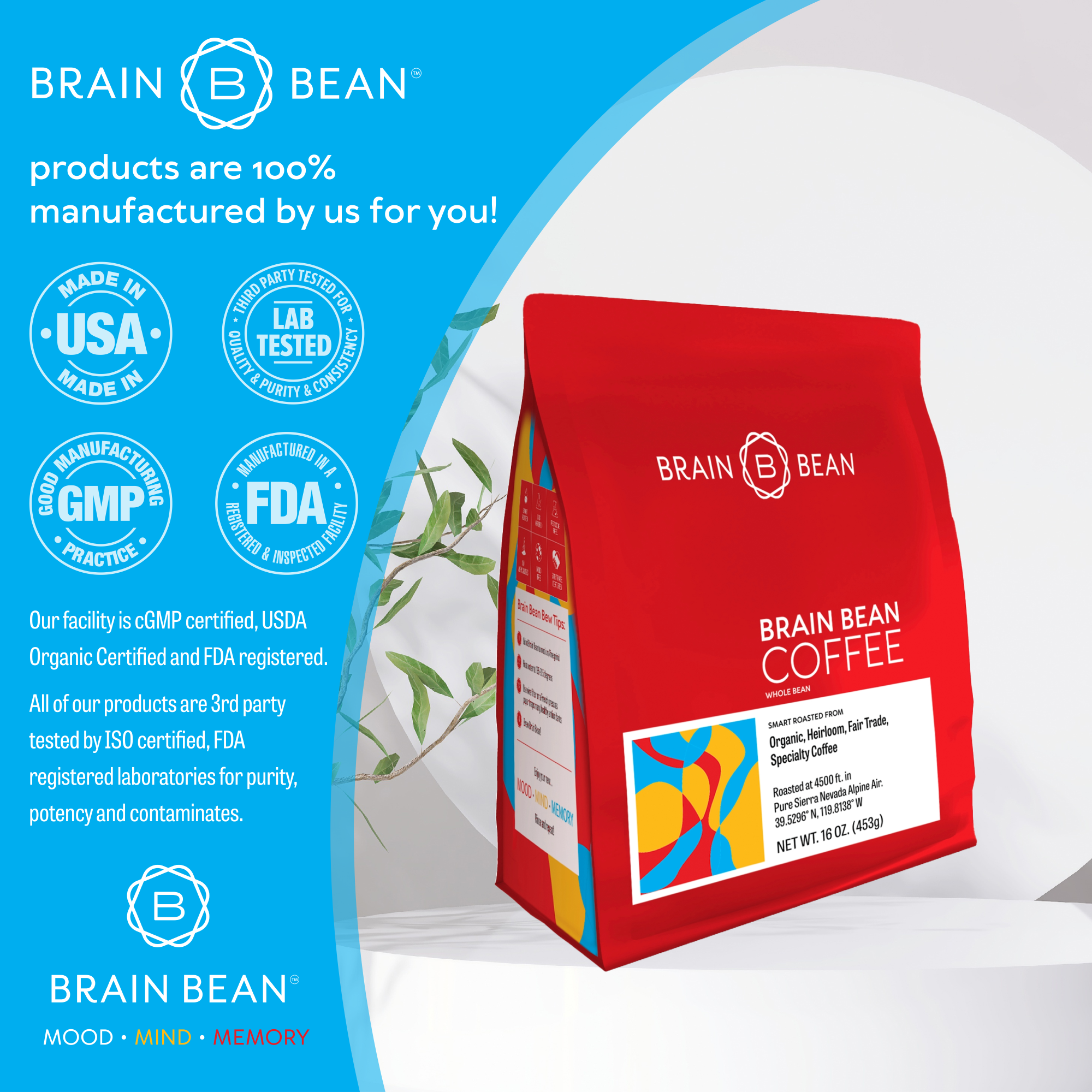 Brain Bean™ 16 oz